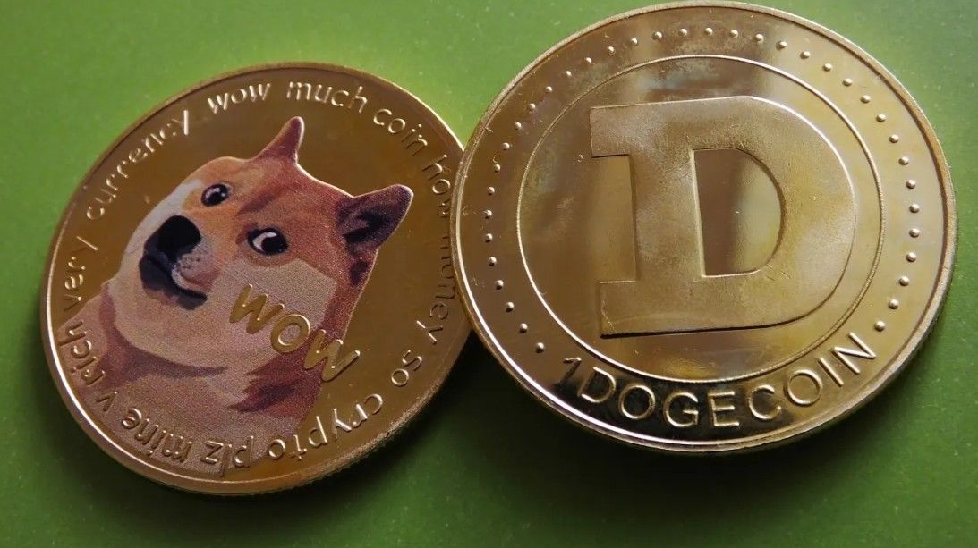 doge pic.jpg